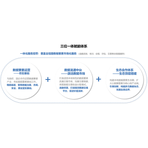 数据资产化服务
